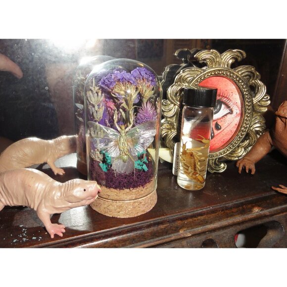 Praying Mantis Crystal & Flowers Oddity Jar insect taxidermy curiosity dome goth - Picture 2 of 15